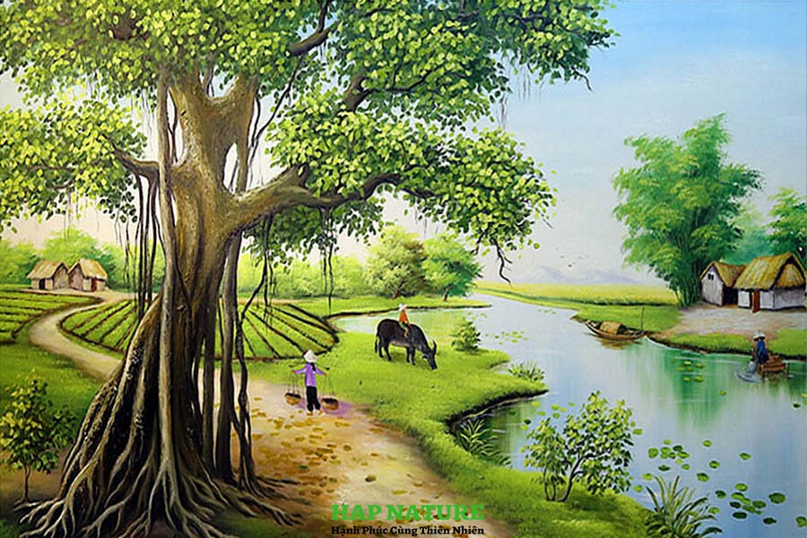 NAM SON PHU THO COMPANY LIMITED