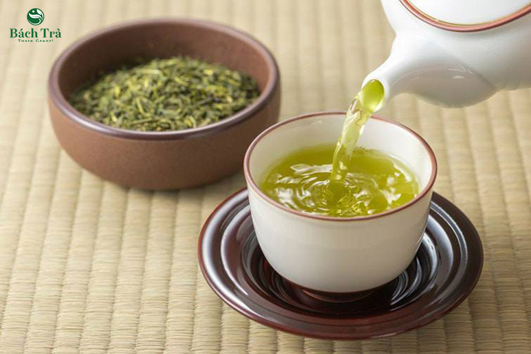 black tea vs green tea