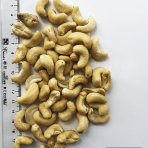 Cashew