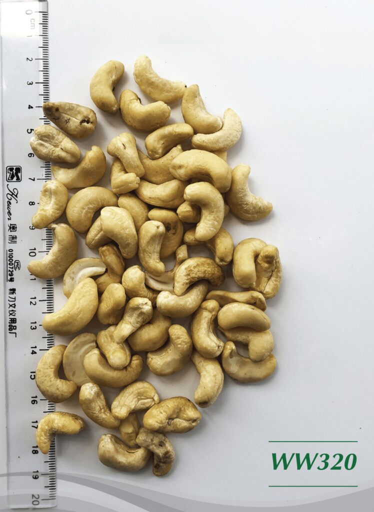 Cashew