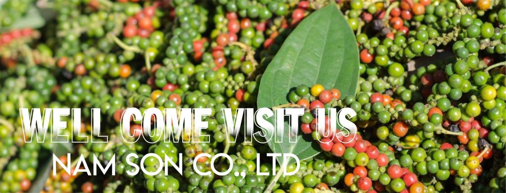 NAM SON PHU THO COMPANY LIMITED