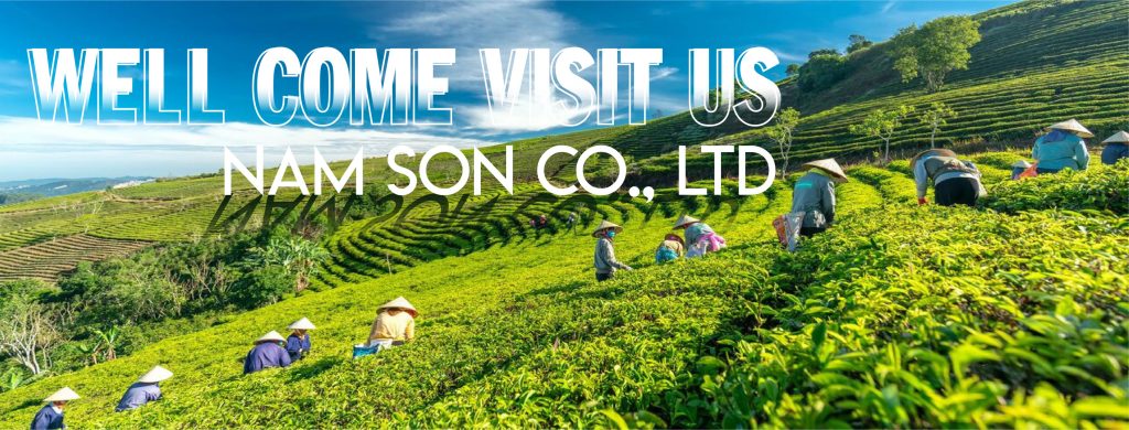 NAM SON PHU THO COMPANY LIMITED