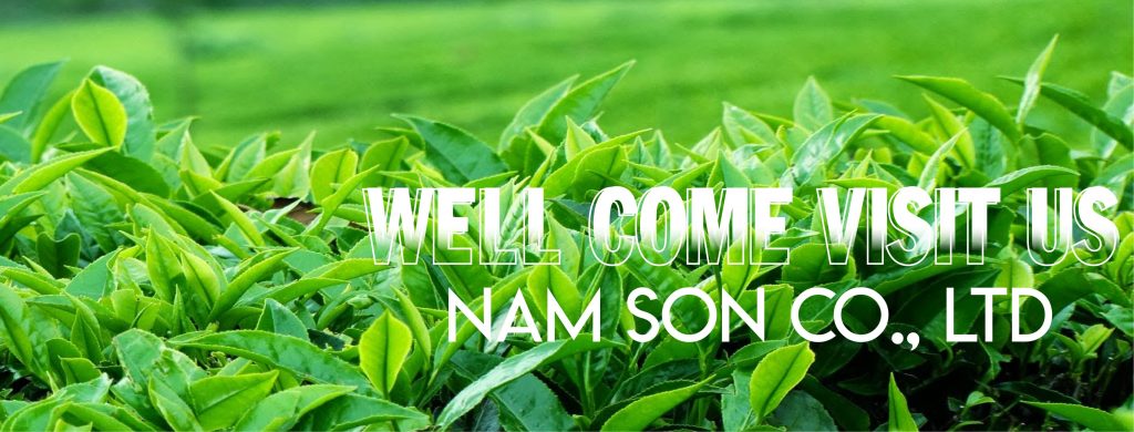 NAM SON PHU THO COMPANY LIMITED