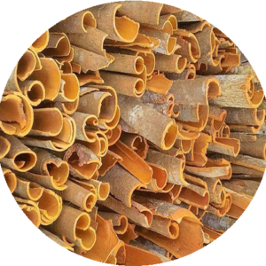 SPLIT CASSIA