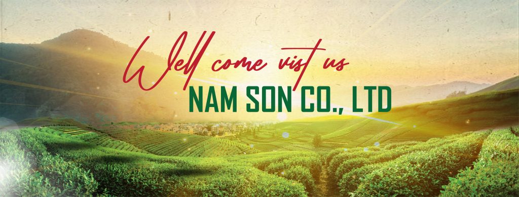 NAM SON PHU THO COMPANY LIMITED