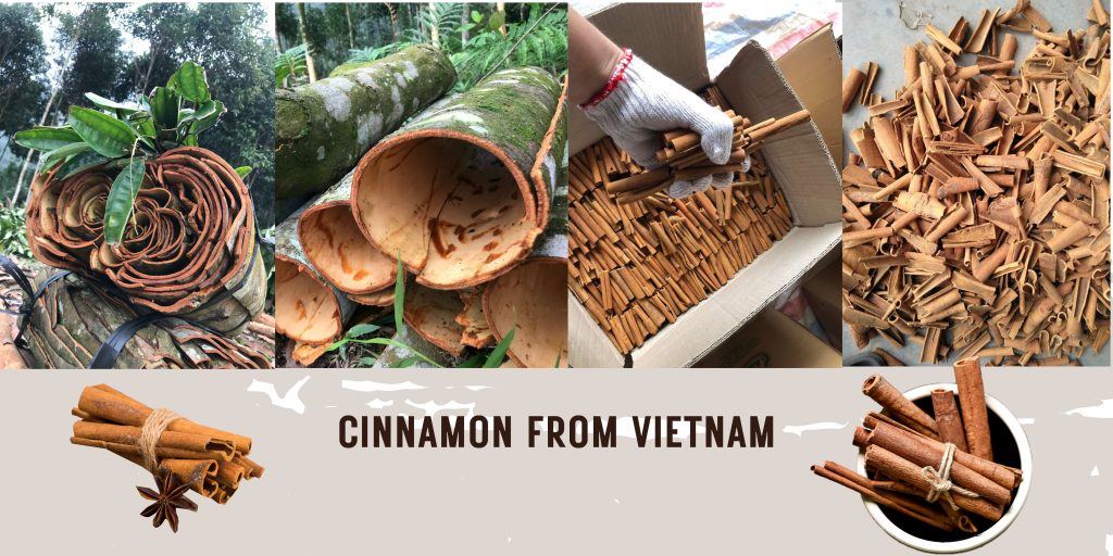 NAM SON PHU THO COMPANY LIMITED