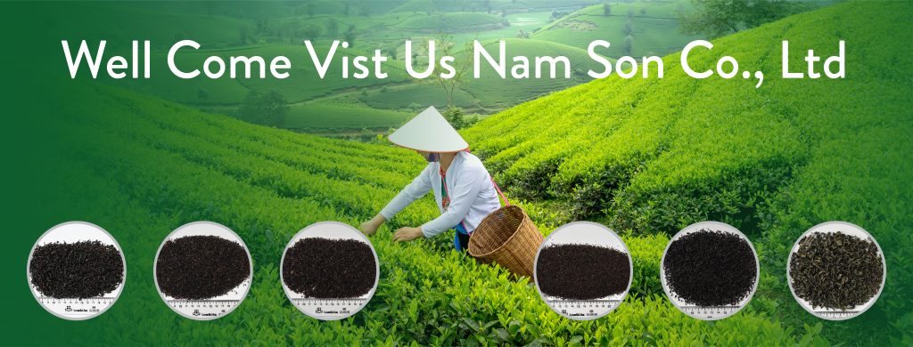 NAM SON PHU THO COMPANY LIMITED