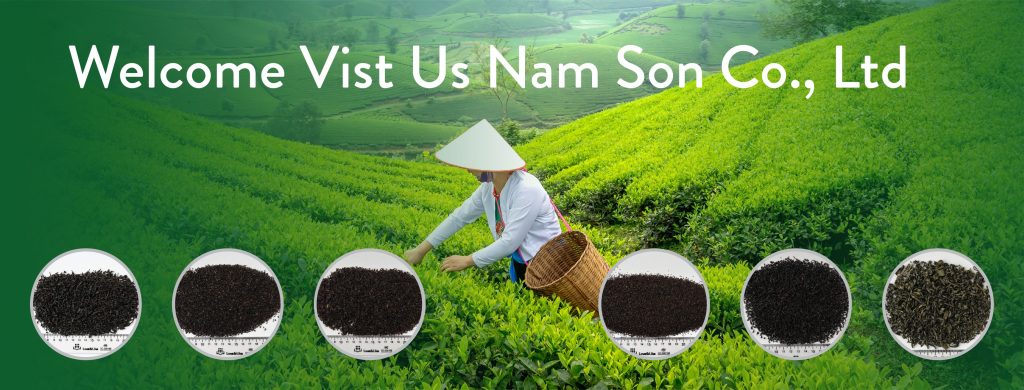 NAM SON PHU THO COMPANY LIMITED