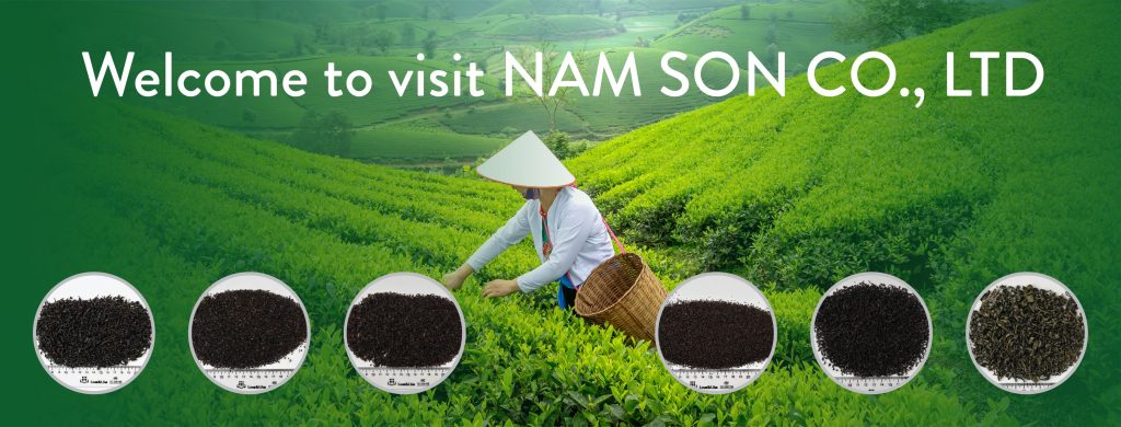 NAM SON PHU THO COMPANY LIMITED