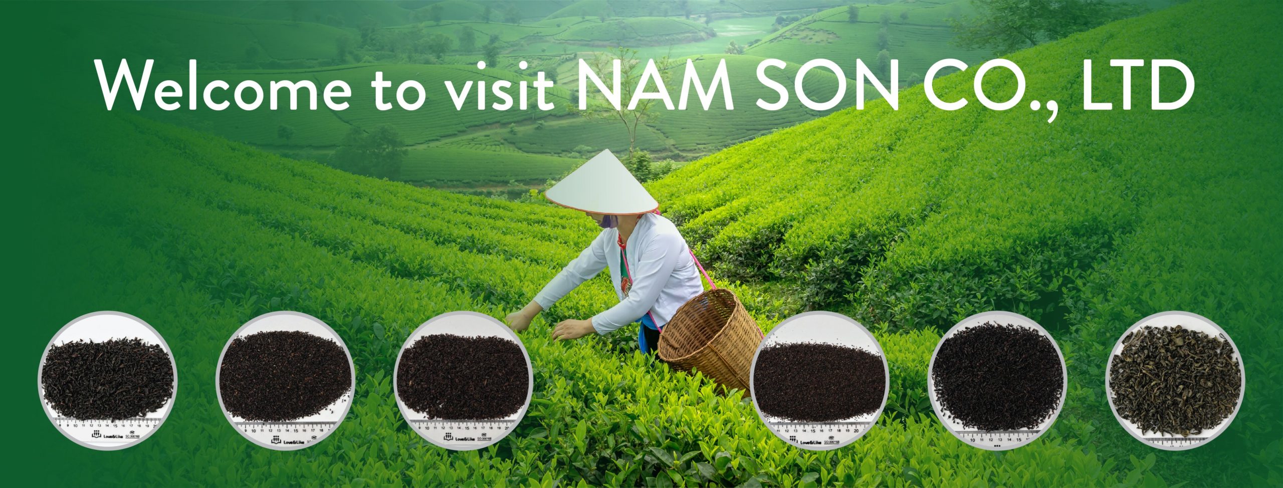 Welcome to visit Nam Son Co.,Ltd