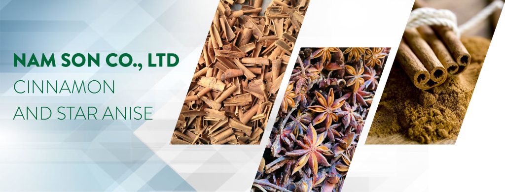 NAM SON PHU THO COMPANY LIMITED