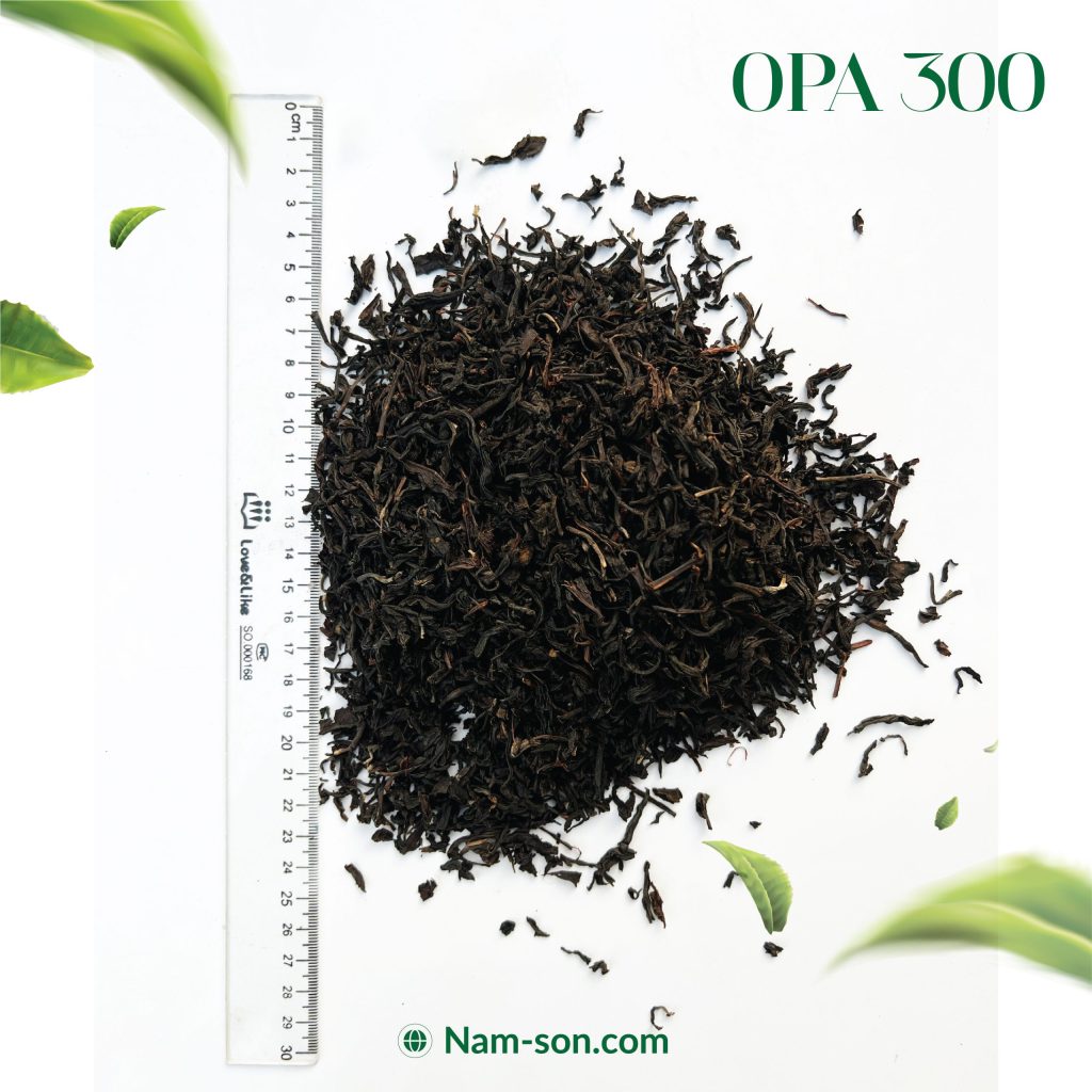 NAM SON PHU THO COMPANY LIMITED