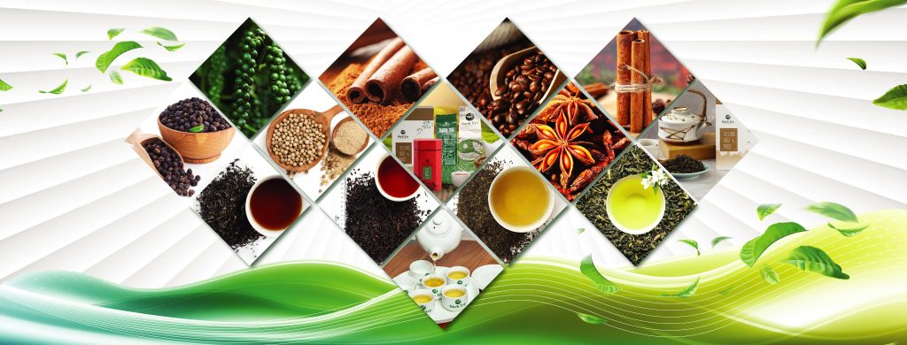 NAM SON PHU THO COMPANY LIMITED