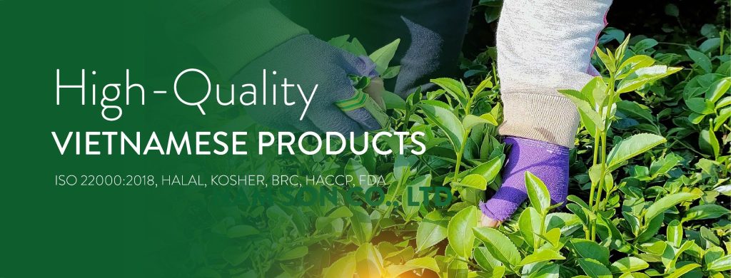 NAM SON PHU THO COMPANY LIMITED