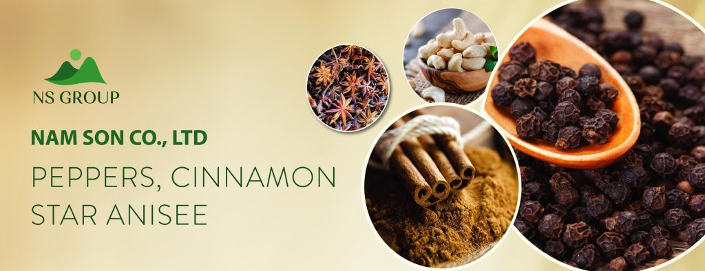 NAM SON PHU THO COMPANY LIMITED