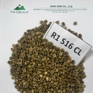 R1-S16-CL Hạt Cà phê xanh