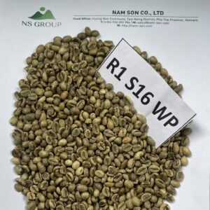 R1-S16 WP Hạt Cà phê xanh