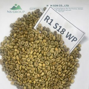 R1 S18 WP Hạt Cà phê xanh