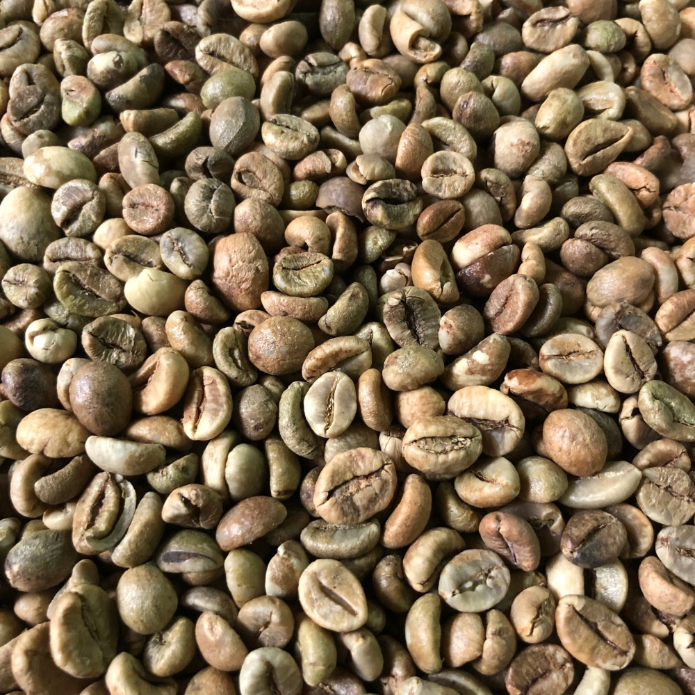 R18 Clean (1) Robusta s18 clean