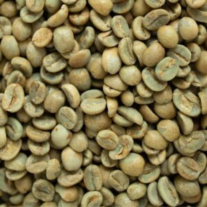 Robusta S18 Wet Polished