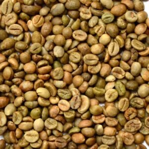 Robusta size 16 Clean