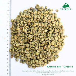 GREEN COFFEE BEANS: Arabica S16 - Grade 2