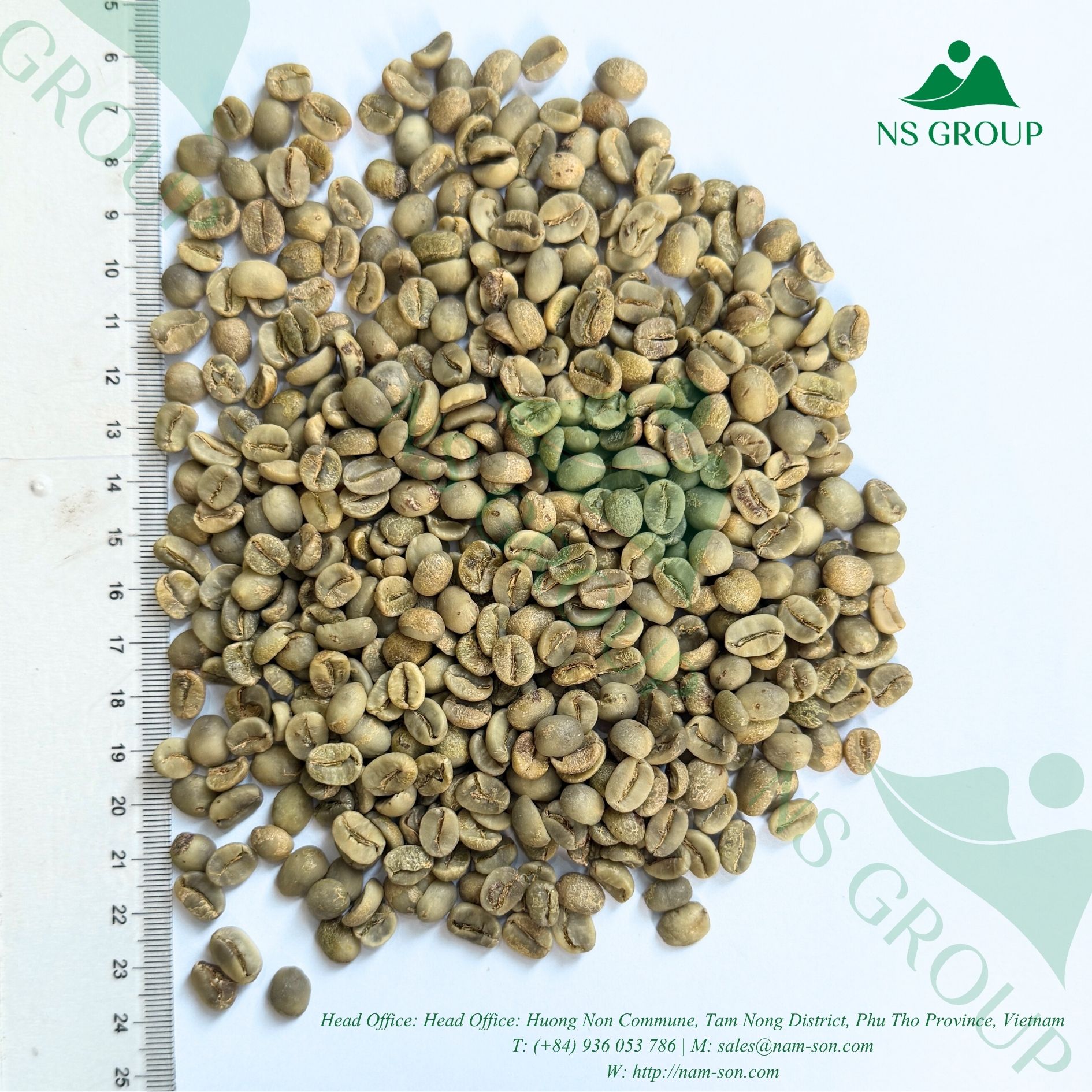 VN washed Arabica coffe S18 DT